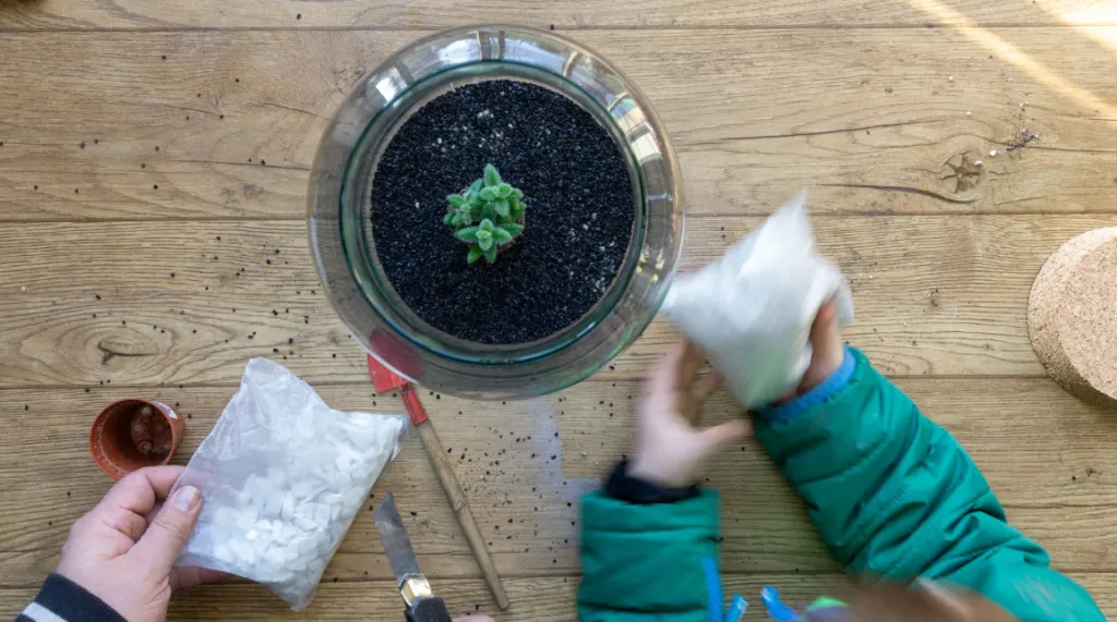 children measure plant growth