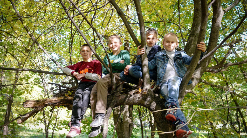 group of boys on a tree